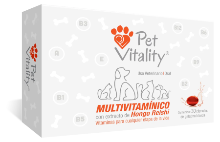 Multivitaminico